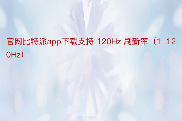 官网比特派app下载支持 120Hz 刷新率（1-120Hz）