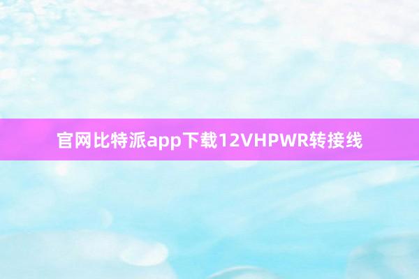 官网比特派app下载12VHPWR转接线