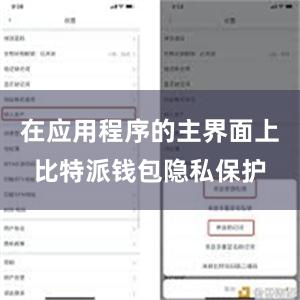 在应用程序的主界面上比特派钱包隐私保护